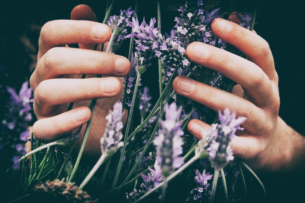 vero-manrique-9oflqnwhcre-unsplash-scaled